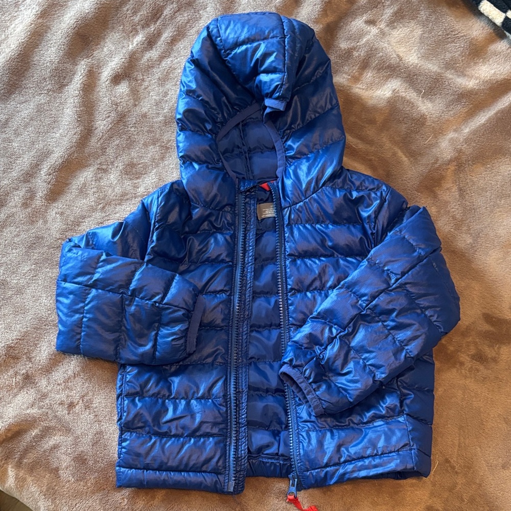 Primary Blue Puffer Jacket with Red Detail